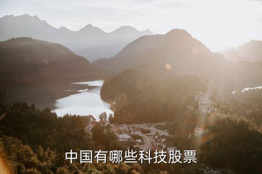 中国有哪些科技股票