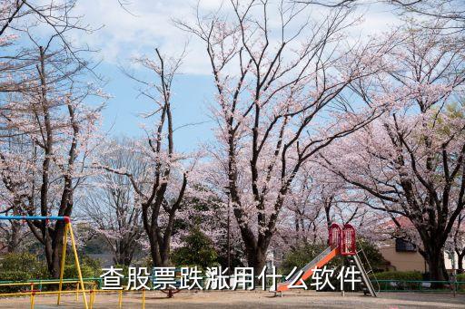 查股票跌涨用什么软件