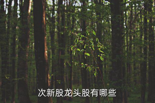 次新股龙头股有哪些