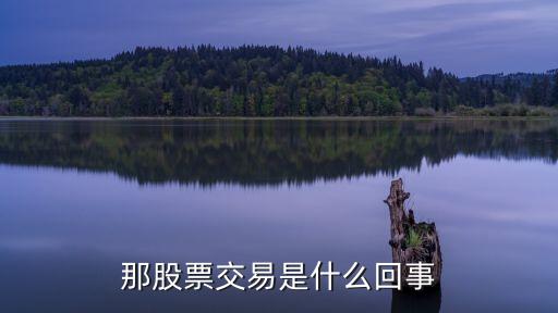 股票交易有什么意思，股票的交易是怎么回事