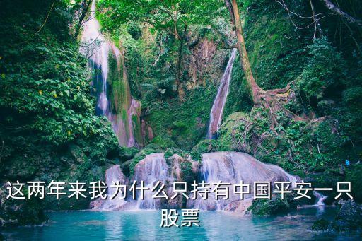 为什么机构买中国平安股票，这两年来我为什么只持有中国平安一只股票