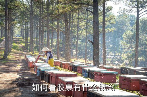 如何看股票有什么概念