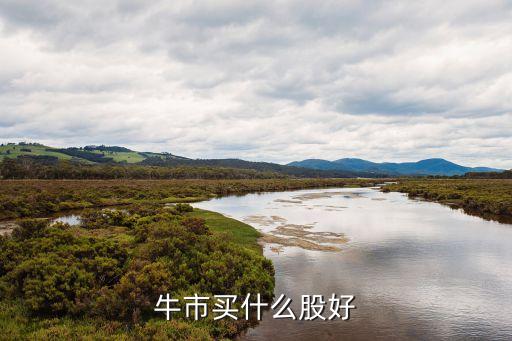 牛市买什么股好