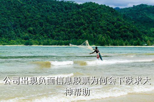 公司出现负面信息股票为何会下跌求大神帮助