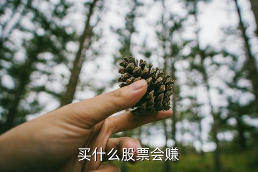 买什么股票会赚