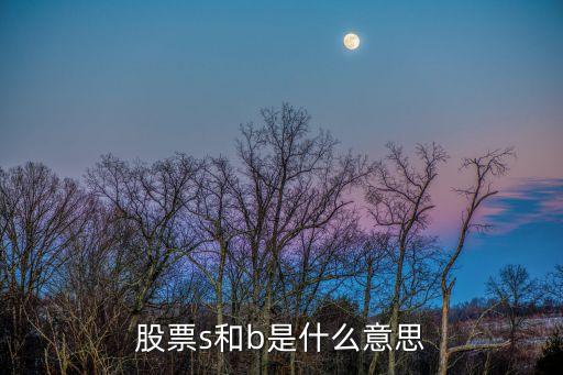 股票s和b是什么意思