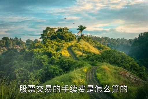 股票交易的手续费是怎么算的