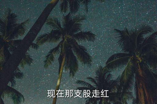 现在那支股走红