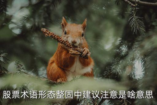 股票中整固是什么意思，形态需要整固是什么意思