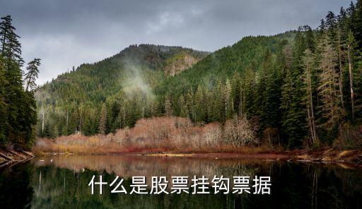 什么是股票挂钩票据