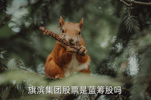 旗滨集团股票是蓝筹股吗