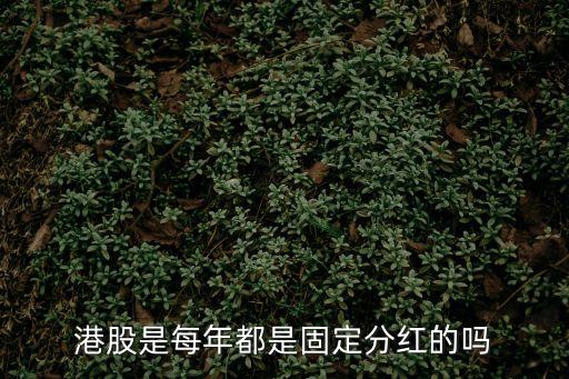 港股是每年都是固定分红的吗
