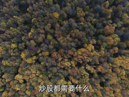 股票市场需要什么，如果你去炒股你需要什么