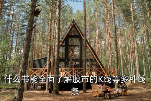 什么书能全面了解股市的K线等多种线条