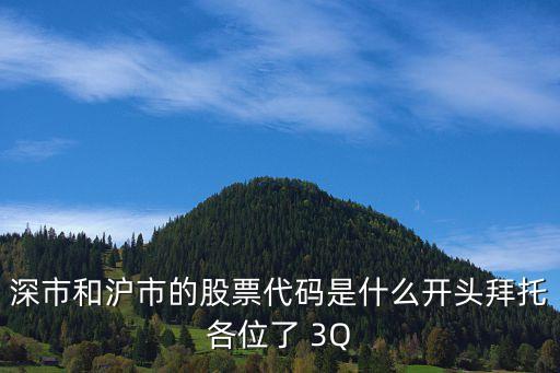 深市和沪市的股票代码是什么开头拜托各位了 3Q