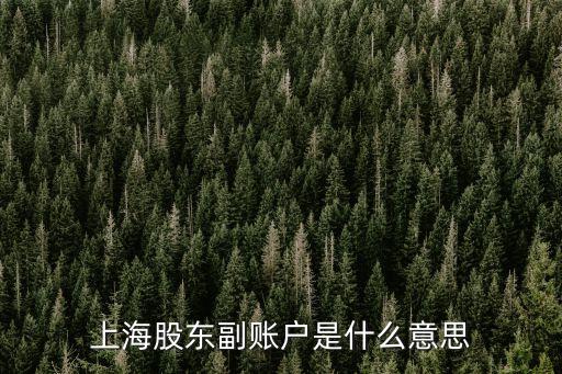 上海股东副账户是什么意思
