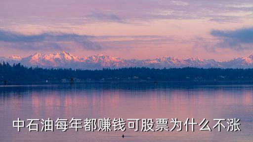 中石油每年都赚钱可股票为什么不涨