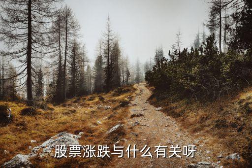 股票涨跌与什么有关呀