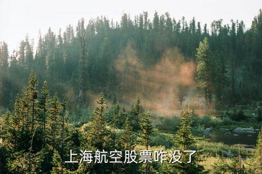 上海航空股票变成什么了，上海航空股票咋没了