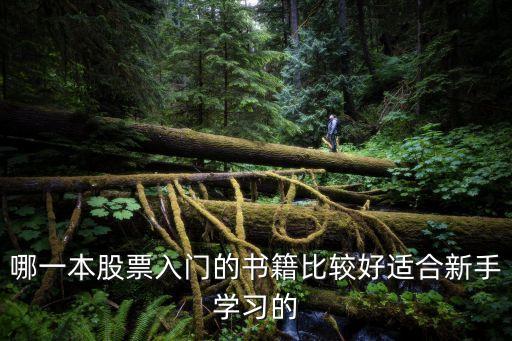 哪一本股票入门的书籍比较好适合新手学习的