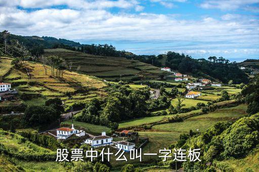 股票中什么叫一字连板