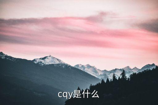 cqy是什么