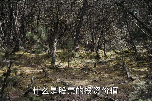 什么是股票的投资价值