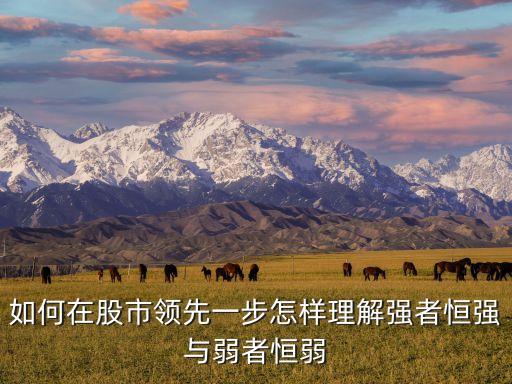 如何在股市领先一步怎样理解强者恒强与弱者恒弱