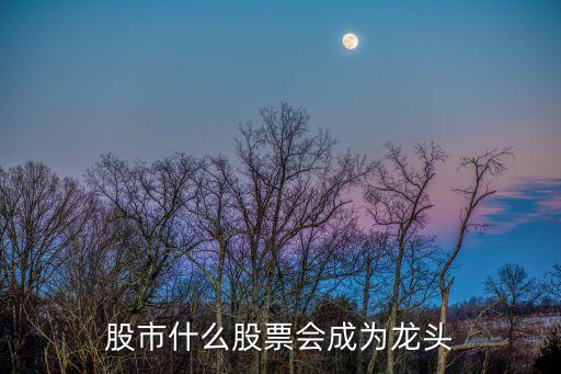 股市什么股票会成为龙头