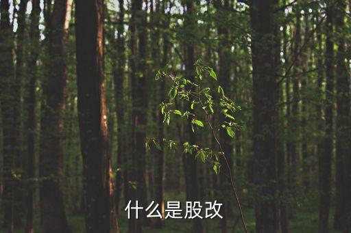 什么是股改