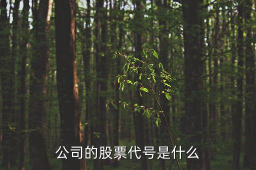 注册制造股票代码是什么，股票代码有哪些