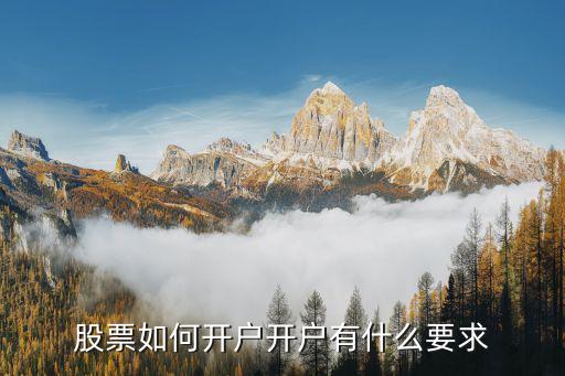 股票如何开户开户有什么要求