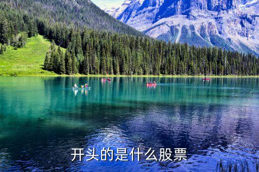 开头的是什么股票