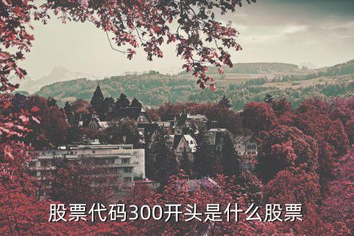 股票代码300开头是什么股票