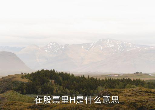 在股票里H是什么意思