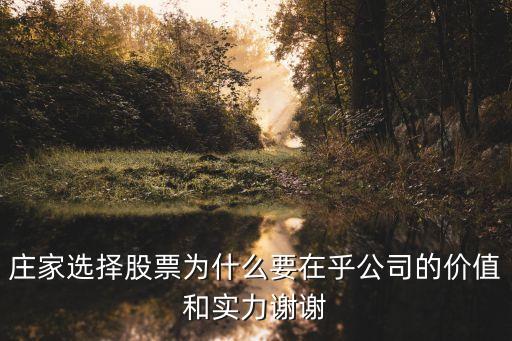 庄家选择股票为什么要在乎公司的价值和实力谢谢