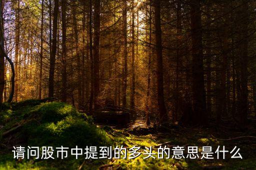 请问股市中提到的多头的意思是什么