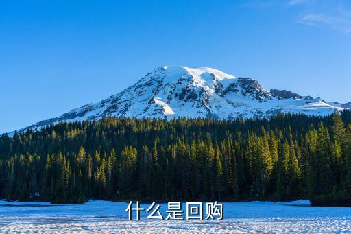股票回购与赎回有什么不同，什么是回购