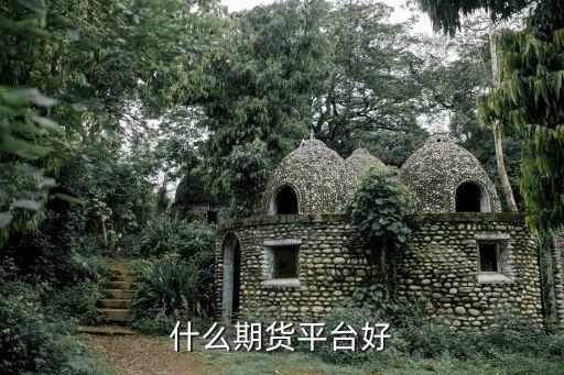 什么期货平台好