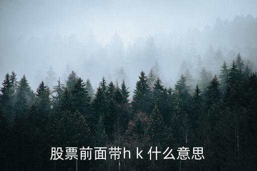 股票前面带h k 什么意思