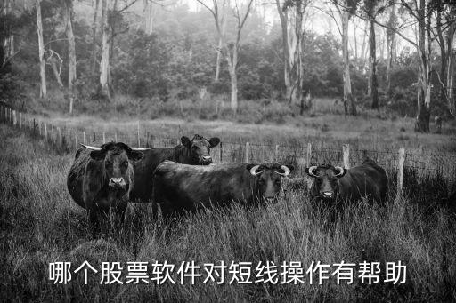 股票超短线用什么软件看，哪个股票软件对短线操作有帮助