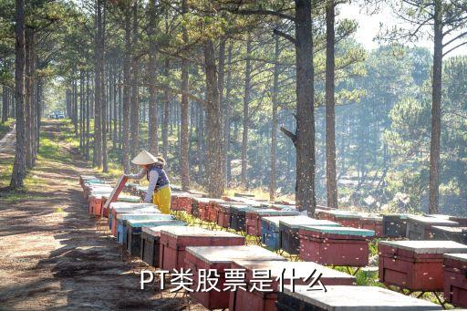 PT类股票是什么