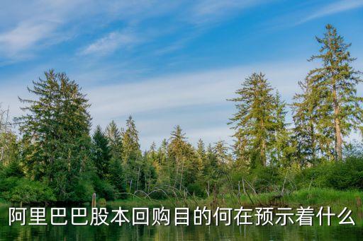 阿里巴巴股本回购目的何在预示着什么