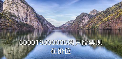 600019600005两只股票现在价位