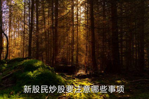 新股民炒股要注意哪些事项