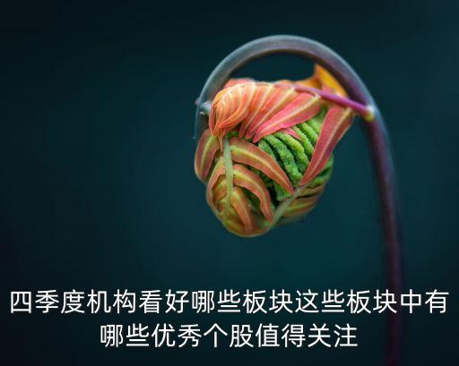 四季度机构看好哪些板块这些板块中有哪些优秀个股值得关注