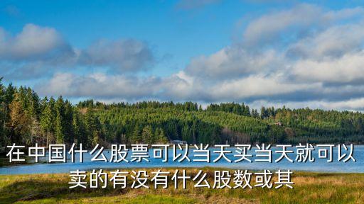 在中国什么股票可以当天买当天就可以卖的有没有什么股数或其