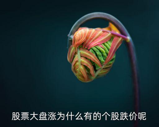 股市为什么大盘涨 股票跌，为什么大盘越涨股票越跌