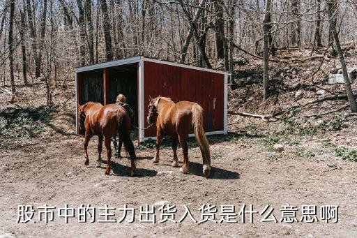 股市中的主力出货入货是什么意思啊