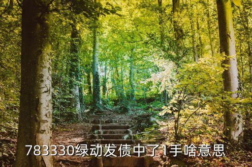 783330绿动发债中了1手啥意思